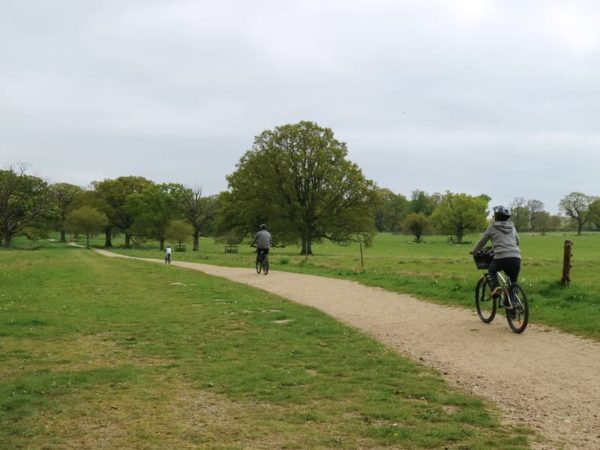 Live More Sustainably