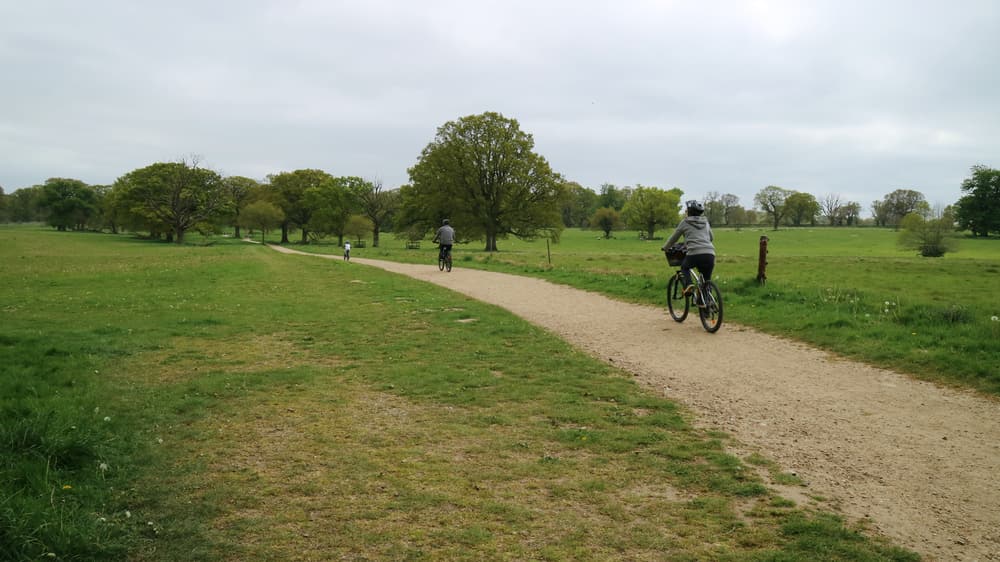 Live More Sustainably