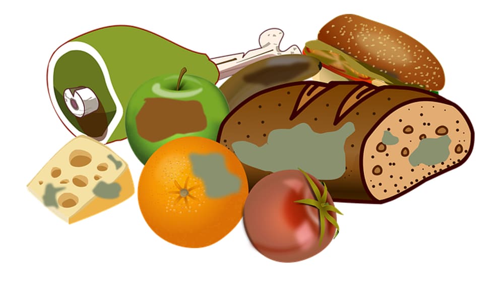 Live More Sustainably