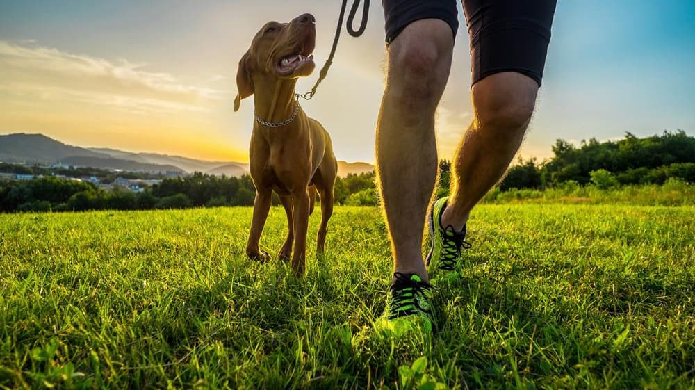 Fun Exercises Pic 11