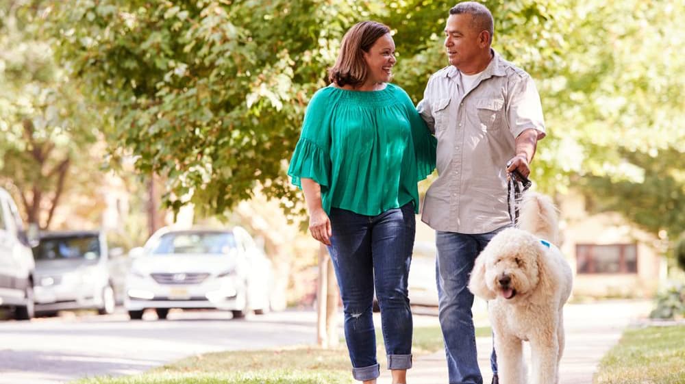 Fun Exercises Pic 2 Fun Exercises To Do With Your Dog