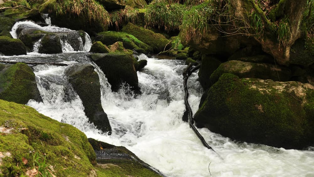Golitha_Falls Golitha Falls Walk