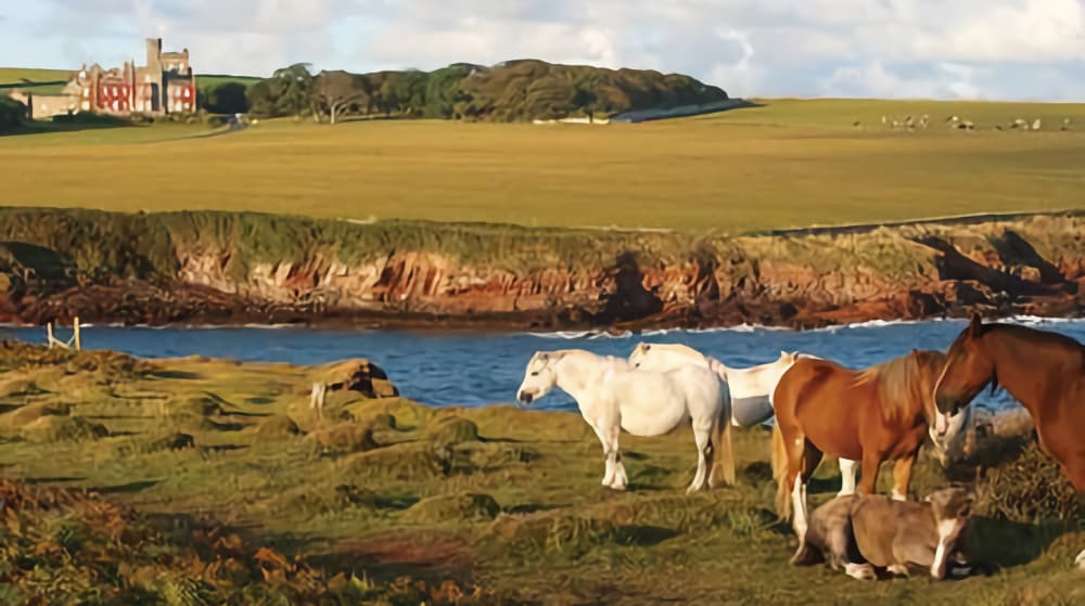 st-brides-3 Broad Haven Walk