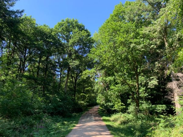 The healing power of nature