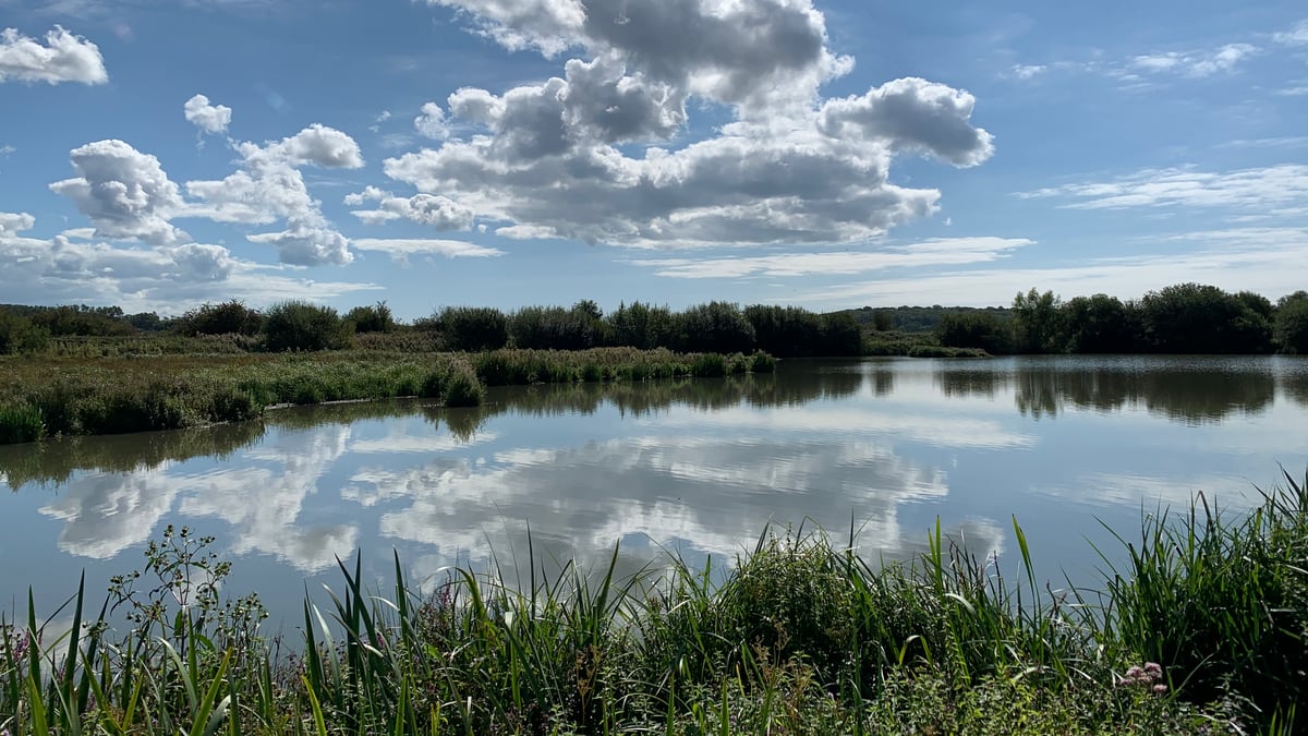 The healing power of nature