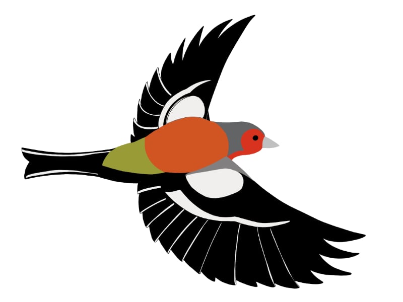 Simon Pollard Logo by Jodie Simon Pollard by Jodie