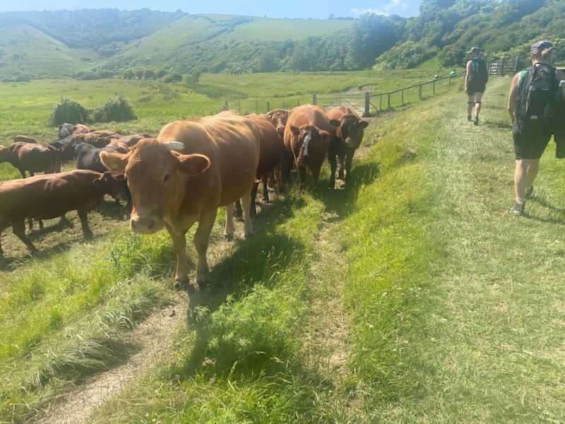 A Mighty Hike for Macmillan Pic 4 A Mighty Hike for Macmillan