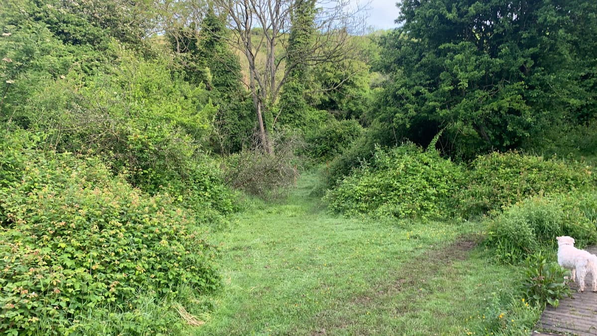 New Walk Slide 10 Folkestone Downs, Caesars Camp, Tunnels and Views