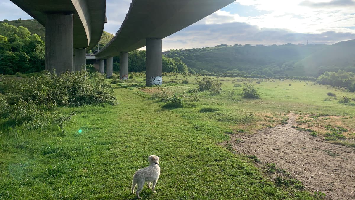 New Walk Slide 5 Folkestone Downs, Caesars Camp, Tunnels and Views