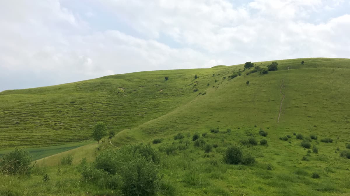 Cley Hill Slide 3 Cley Hill Walk