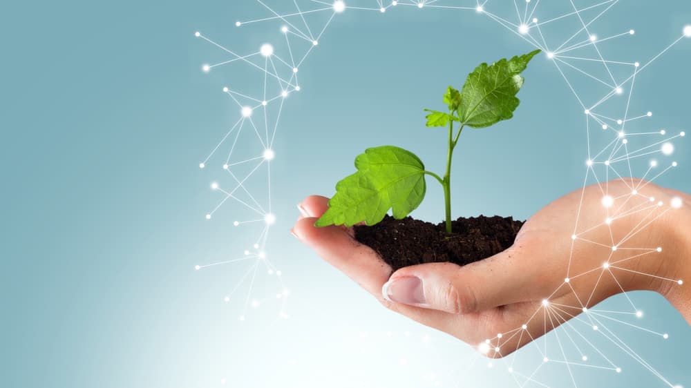 Creating a Happy Balance Slide 2 Creating a Happy Balance