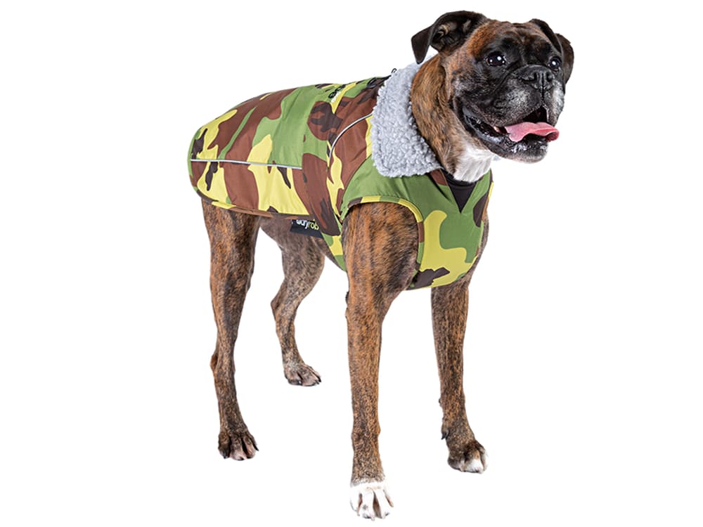 Camo & Grey Dog Coat