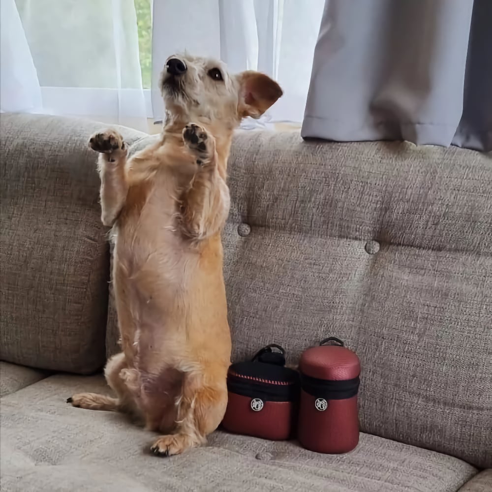 Finding my feet Picture 5 Finding my feet