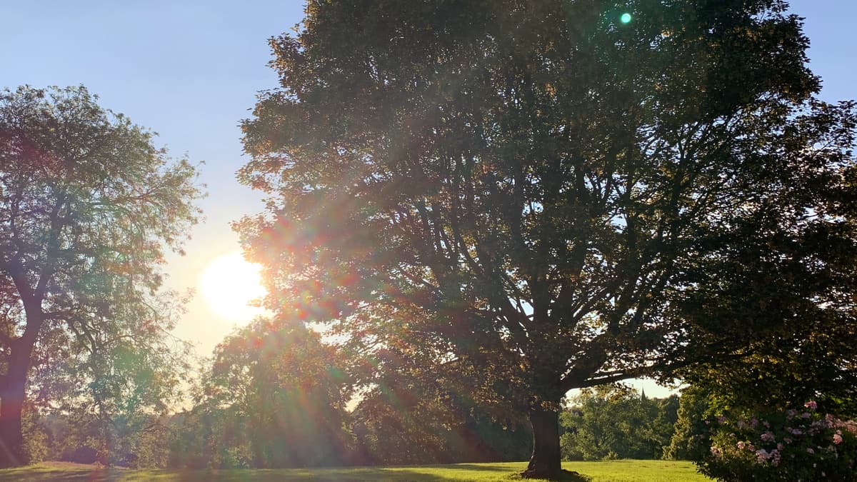 Kenilworth Abbey Fields Slide 3 Kenilworth Abbey Fields