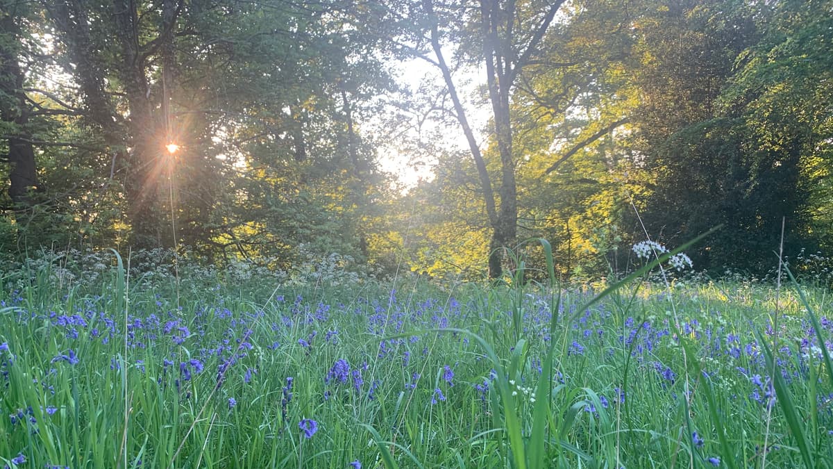 Kenilworth Abbey Fields Slide 4 Kenilworth Abbey Fields