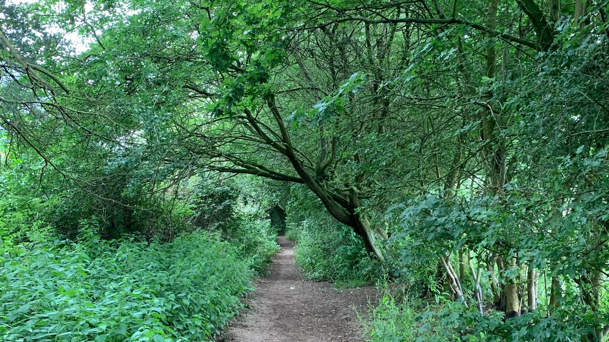 Kenilworth Abbey Fields Slide 6 Kenilworth Abbey Fields