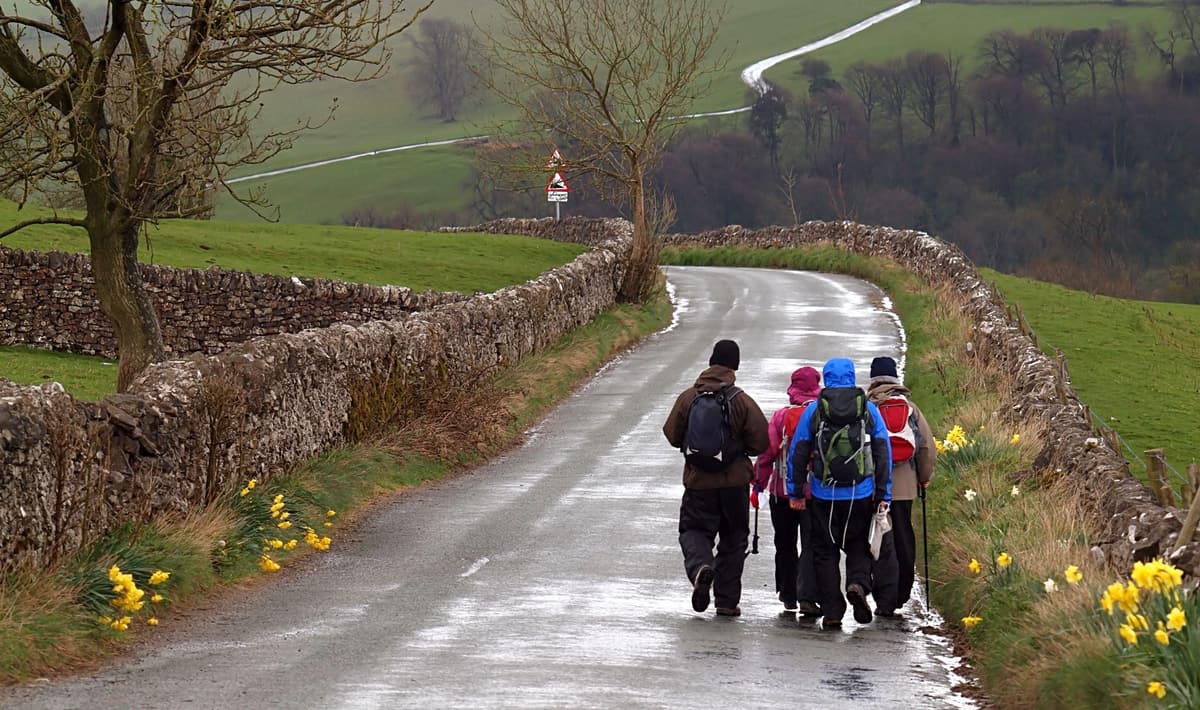 Nature Photo Walk pic 3 Nature Photo Walk