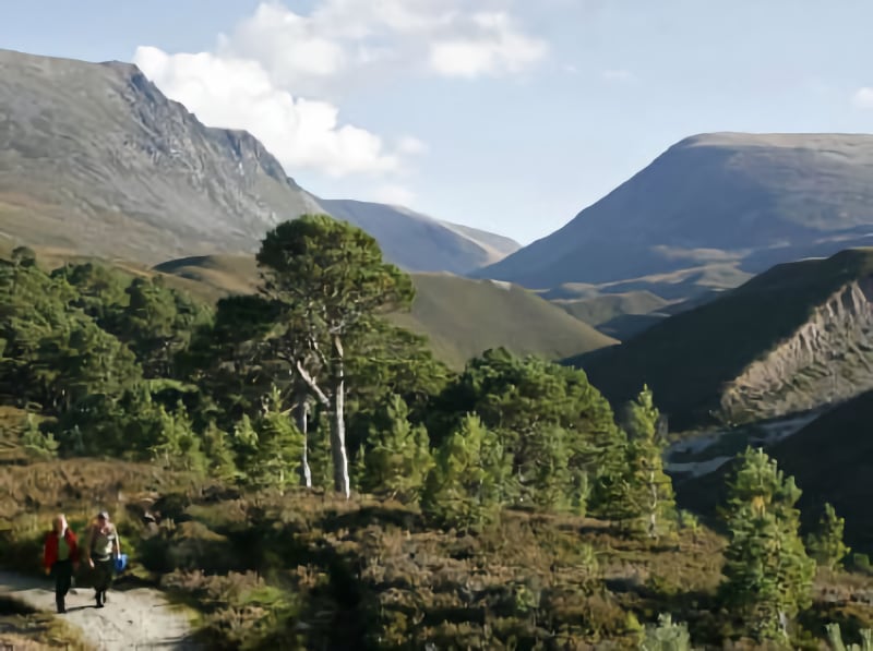 Cairngorms