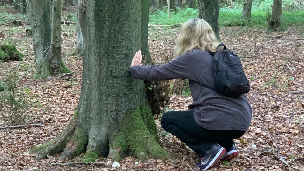 Walking with your senses Pic 1 Walking with your senses