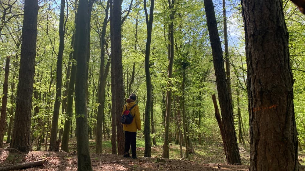 Walking with your senses Pic 2 Walking with your senses