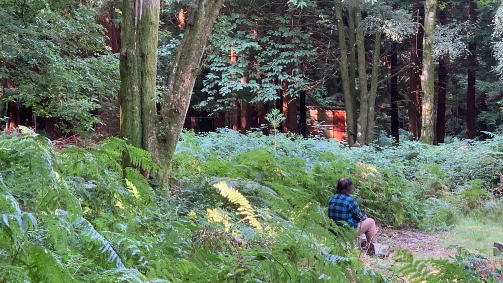 Walking with your senses Pic 4 Walking with your senses