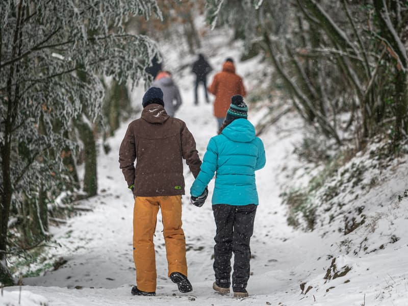 Walking off your Christmas Dinner