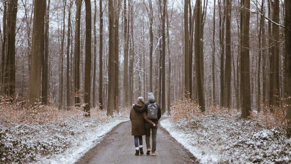 Christmas Dinner Pic 4 Walking off your Christmas Dinner