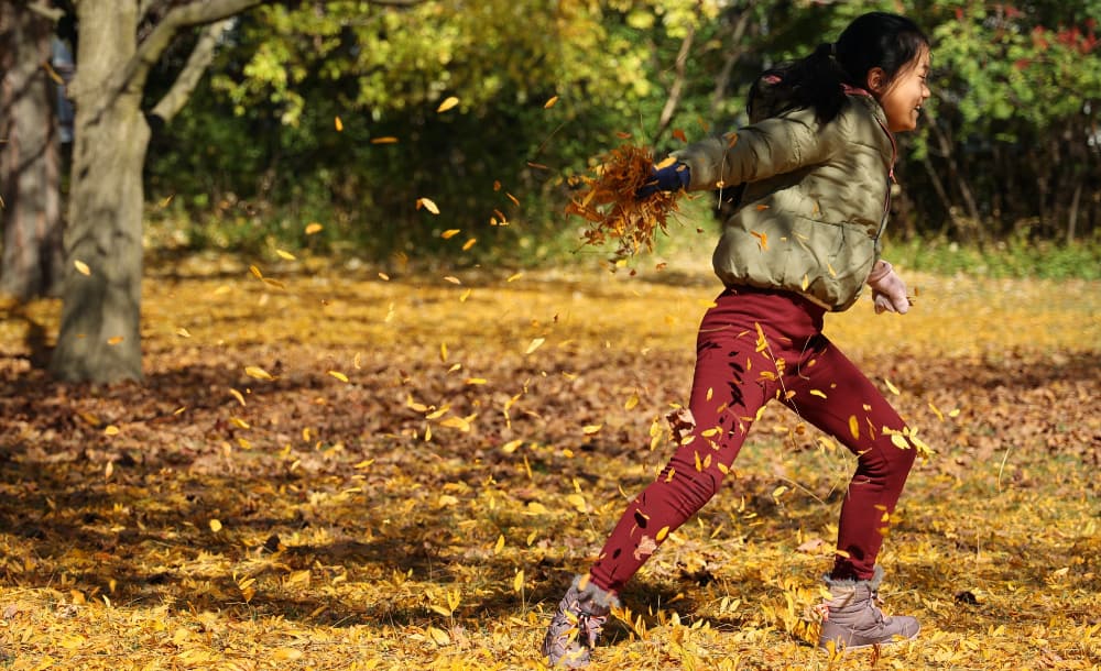 nature with Children Pic 3 Getting out into nature with Children