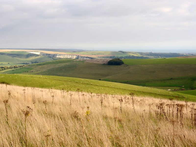 Location Location Feature