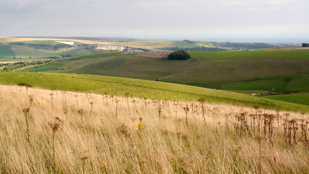 Location Location Slide 1 Location Location Feature