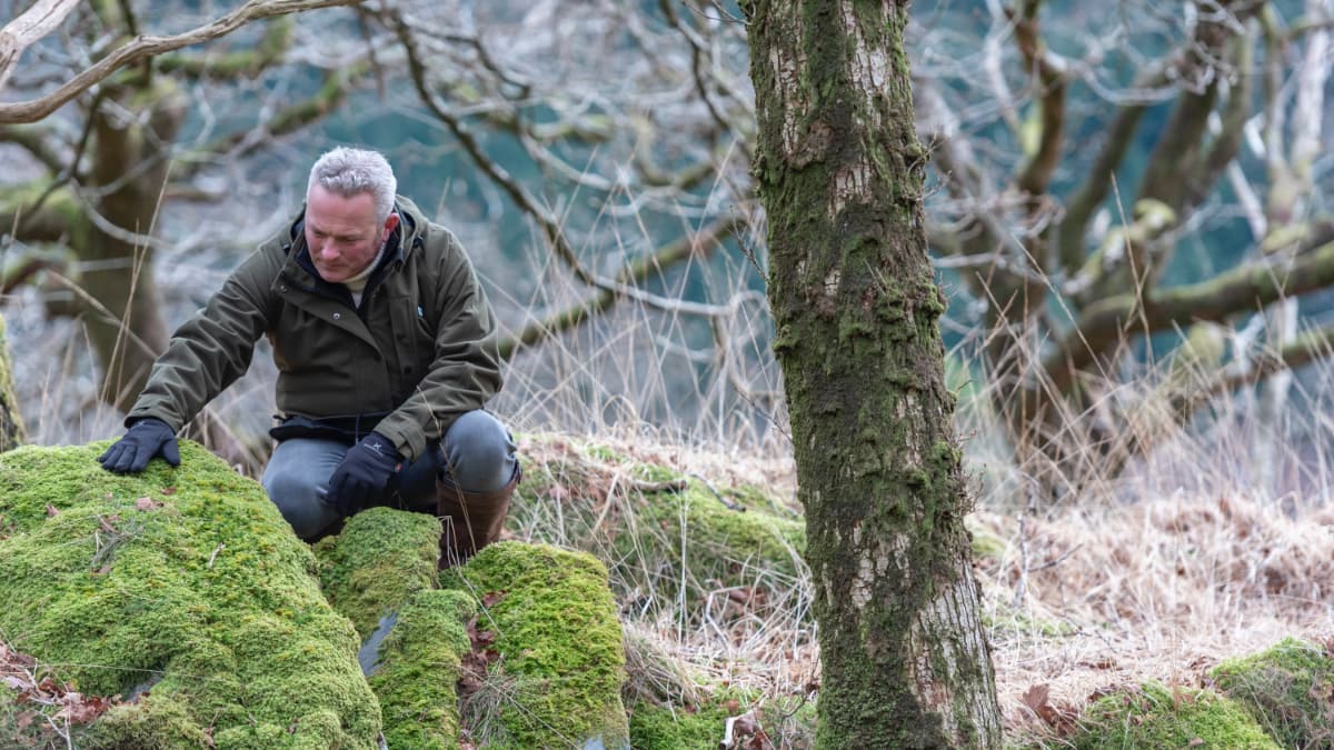 Planting for the future Slide 4 Planting for the future