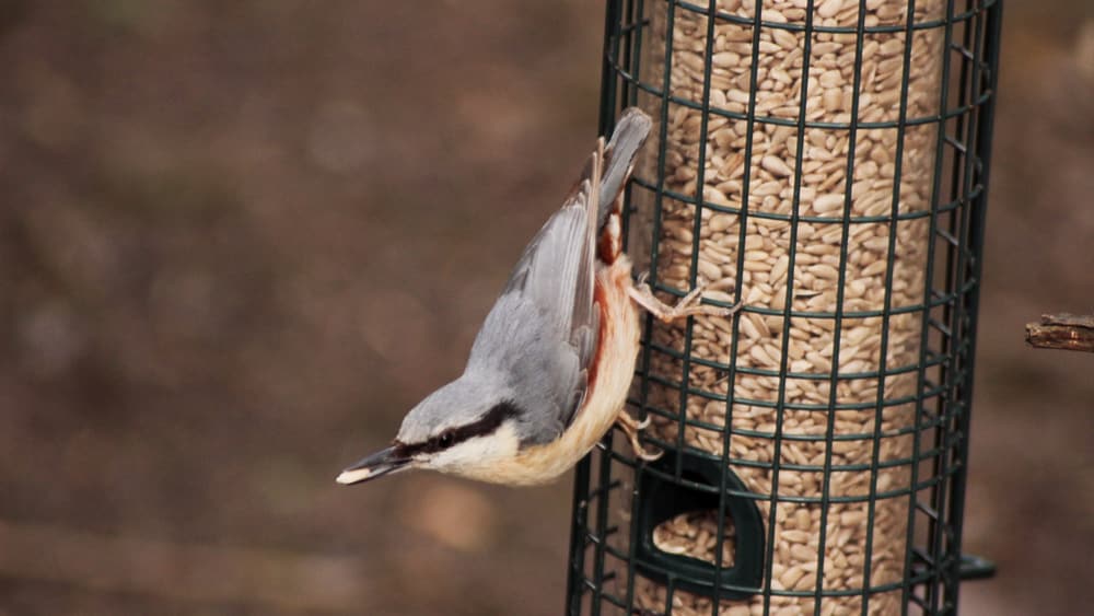 Exploring the great outdoors for less