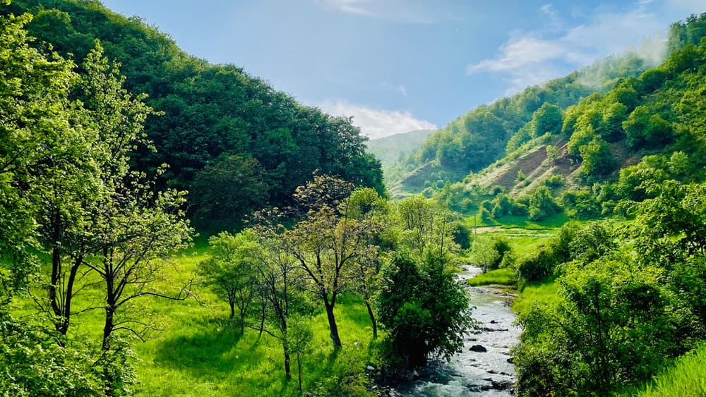 How to Find Clean Water Slide 3 How to Find Clean Water