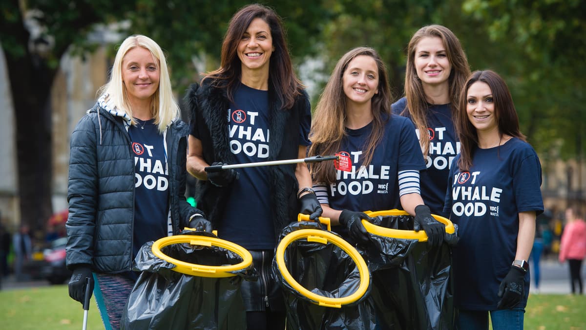 Whale poo and how it could save you