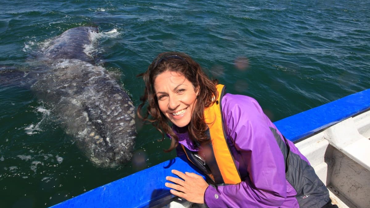 Whale poo and how it could save you