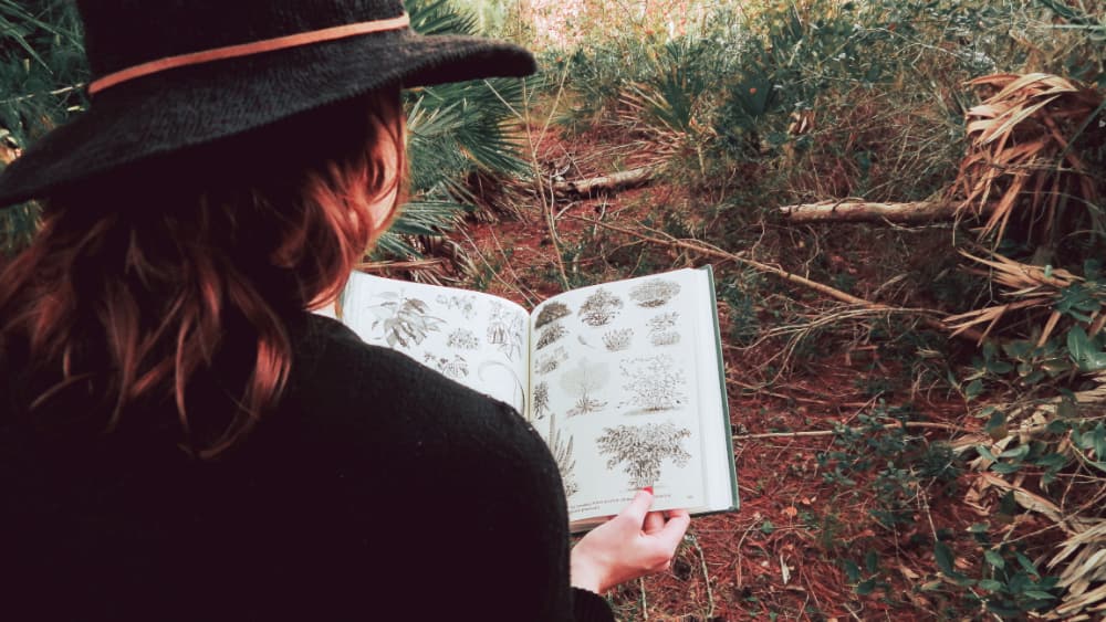 The Importance of Protecting Insects When Outdoors 3 The Importance of Protecting Insects