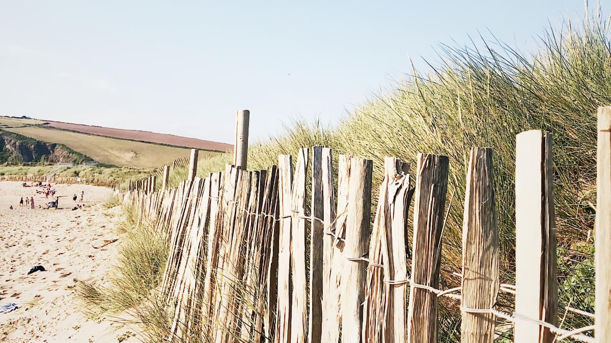 Claire - Woman on a Mission