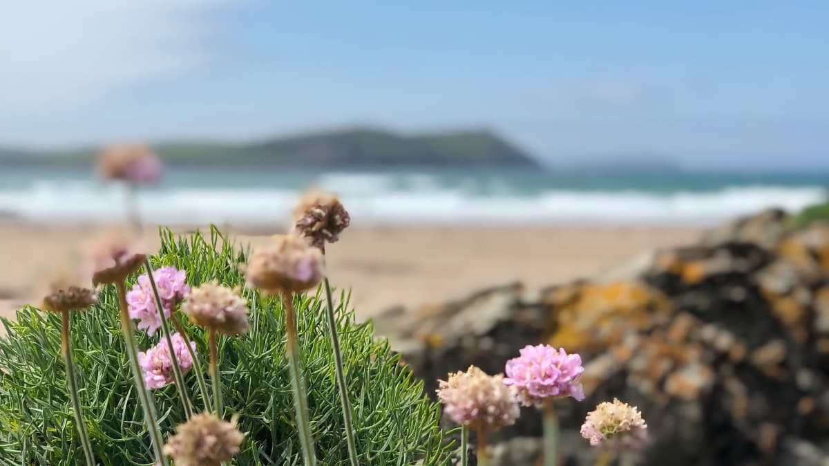 Claire - Woman on a Mission