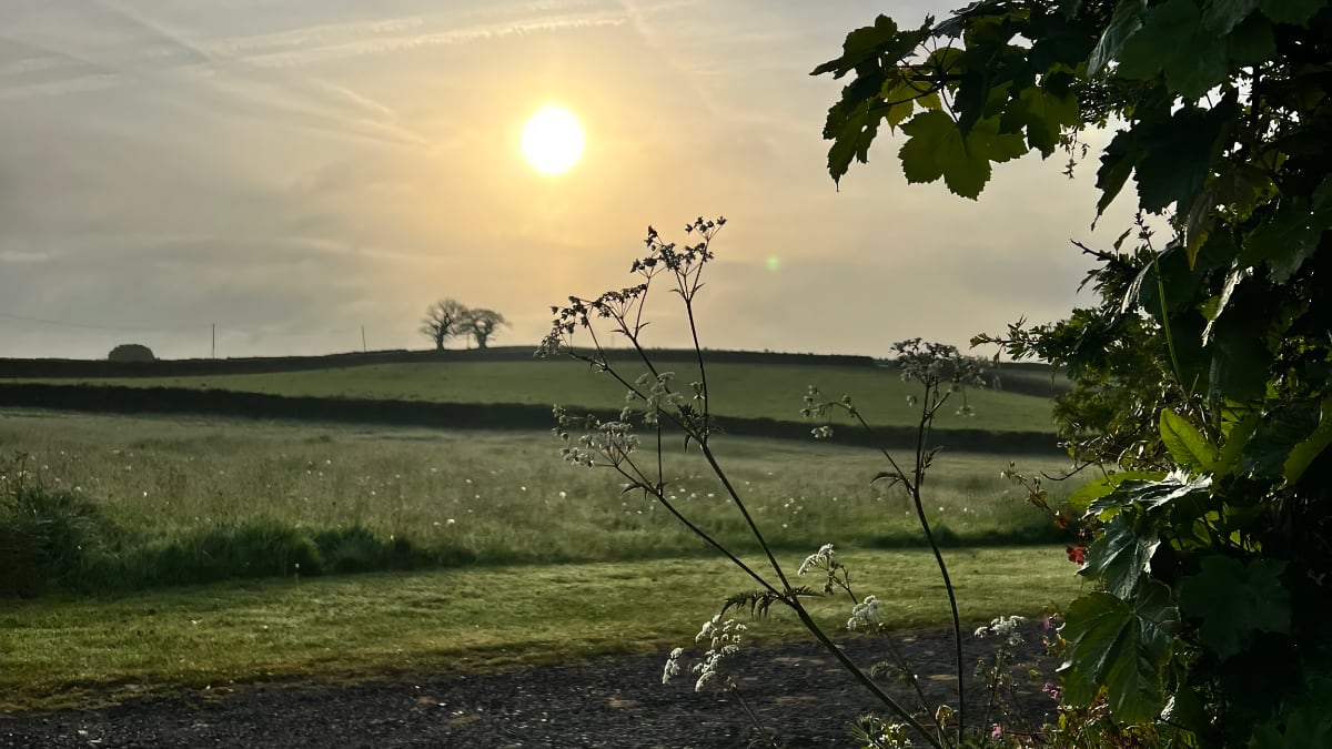 Claire - Woman on a Mission