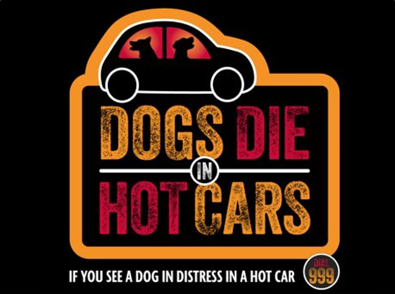 Dogs Die in Hot Cars