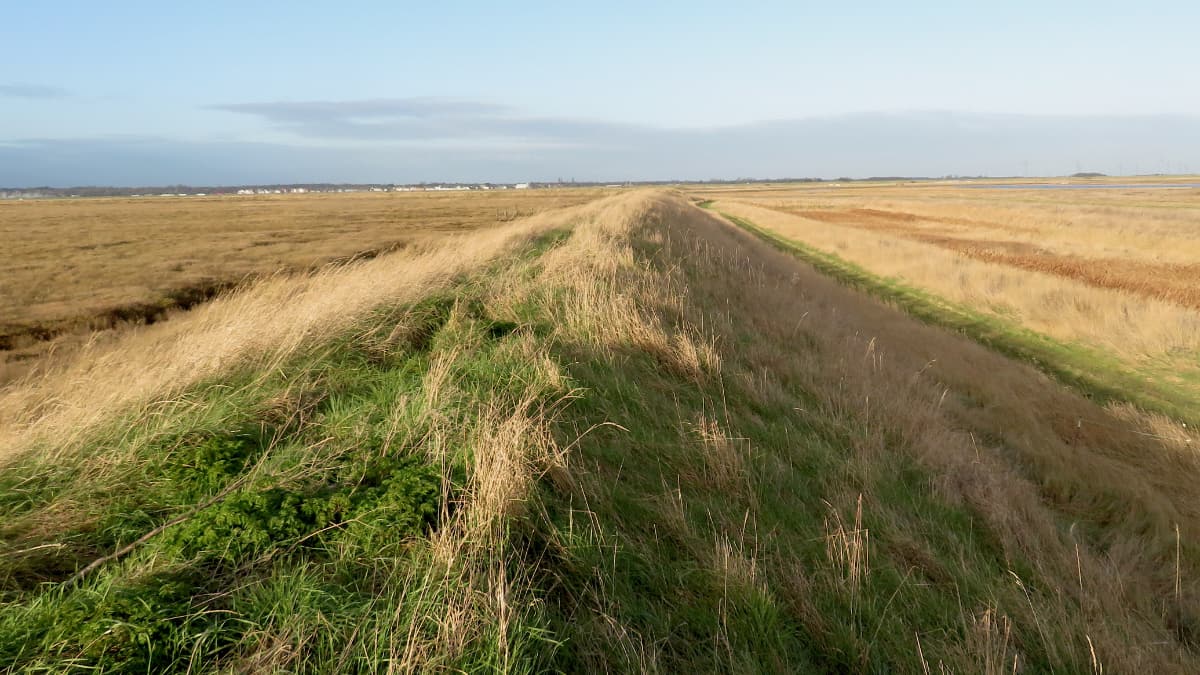 New sea wall New sea wall