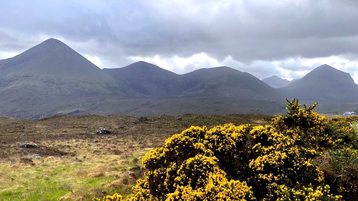 Red Cuillin Red Cuillin