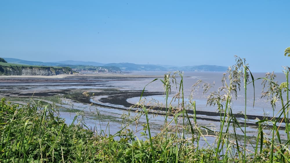 Somerset & Exmoor Coast Festival