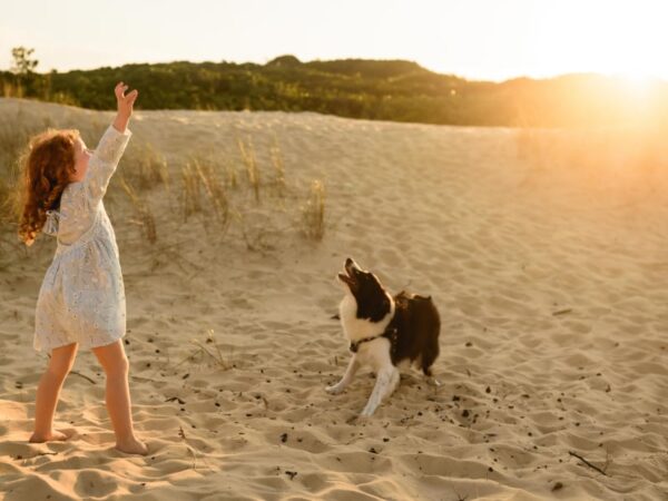 dog-friendly holiday activities