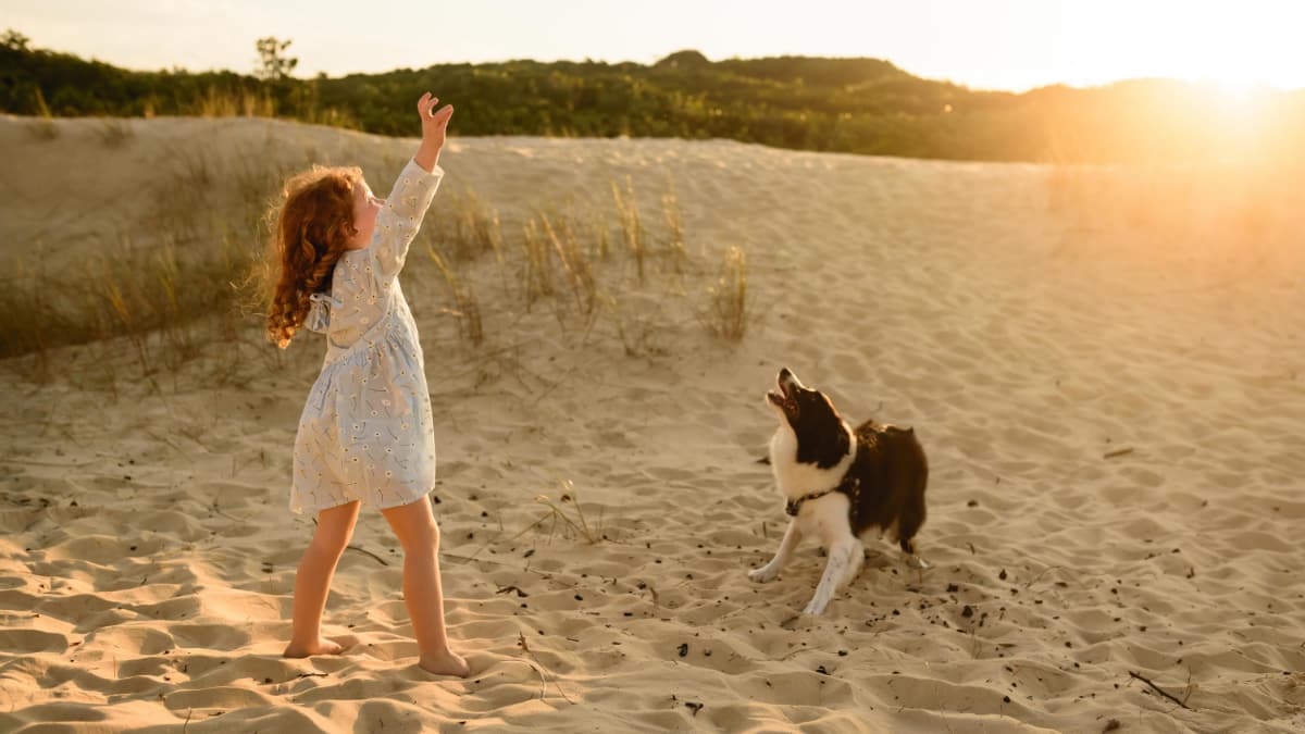 dog-friendly holiday Slide 1 dog-friendly holiday activities