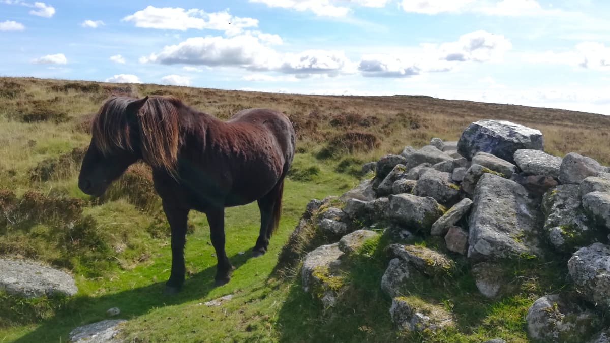 Bennetts-Cross Bennetts-Cross