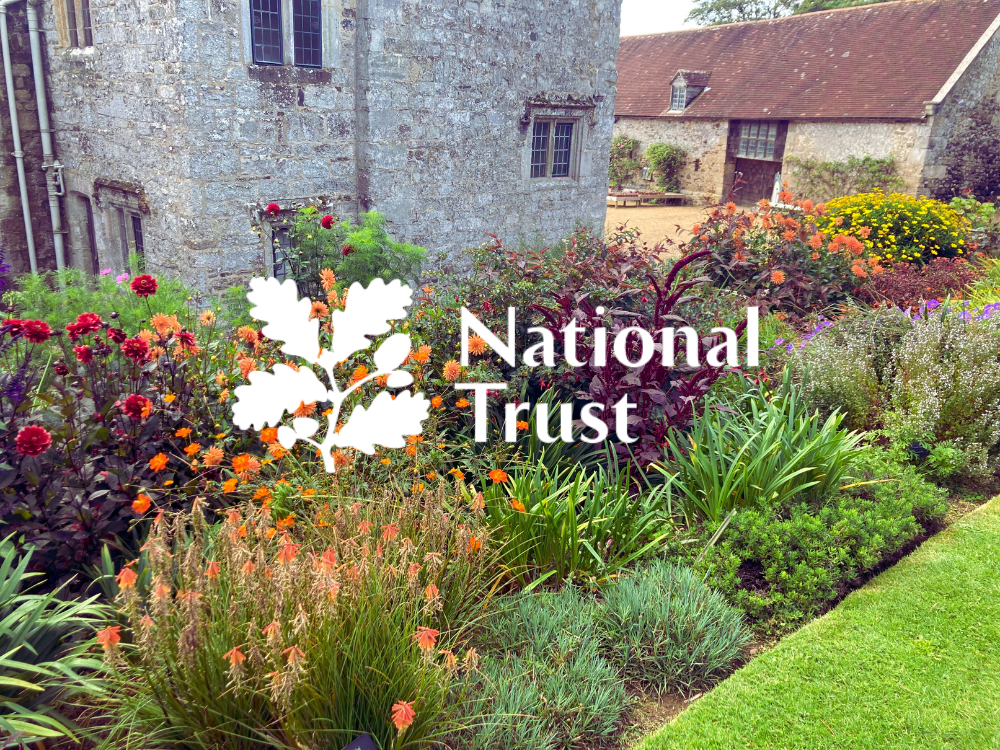 A stunning picture of the National Trust property Mottistone Gardens and estate in the August sunshine. This picture was taken and is the copyright of Elizabeth Finch Moore.