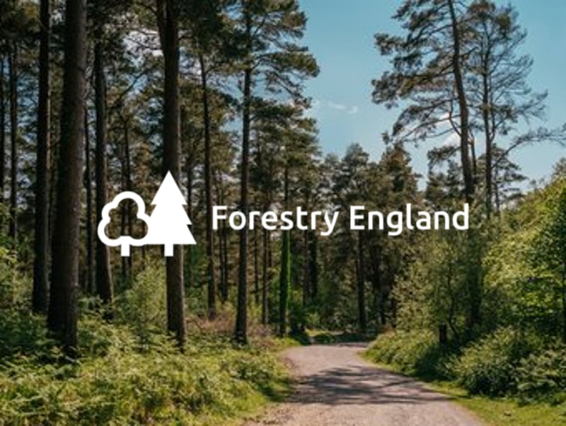 Forestry England