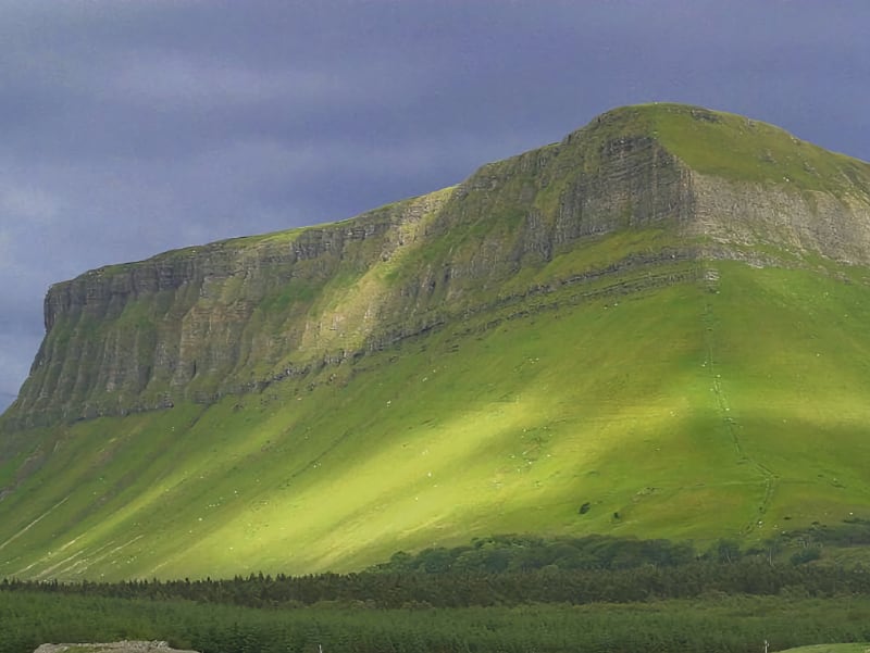 Benbulben Forest Walk