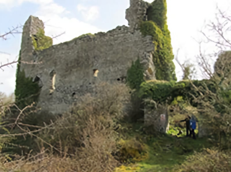 A magical walk around Lough Ree. With little elevation and only 2 miles long, this suit all levels of fitness so is a perfect activity for everyone.